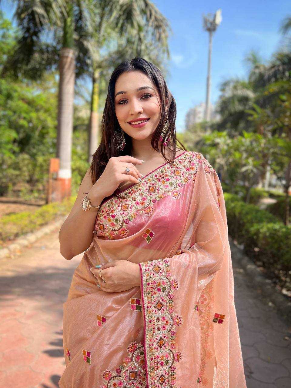 Twill Net  Embroidered Lace Border Stone Work Zari Saree
